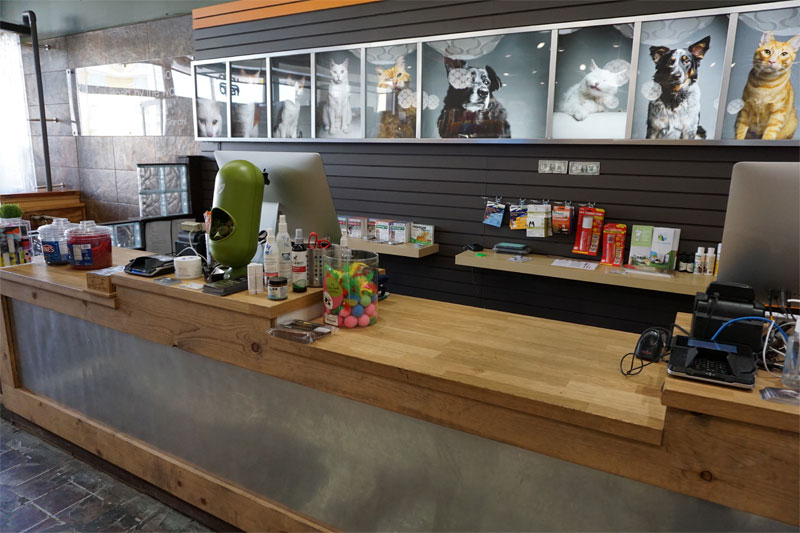 Friendly and Knowledgeable Staff at the Urban Pet, Los Angeles