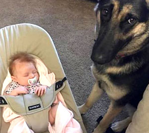 baby and dog