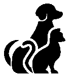 Cat and Dog attending group class